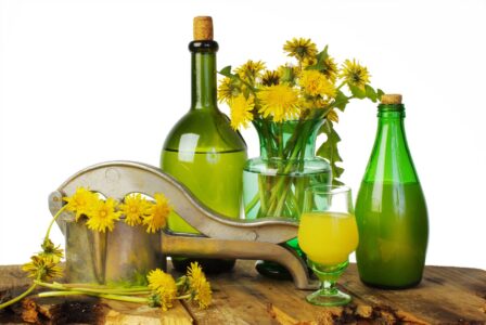 Dandelion Beer Recipe Image